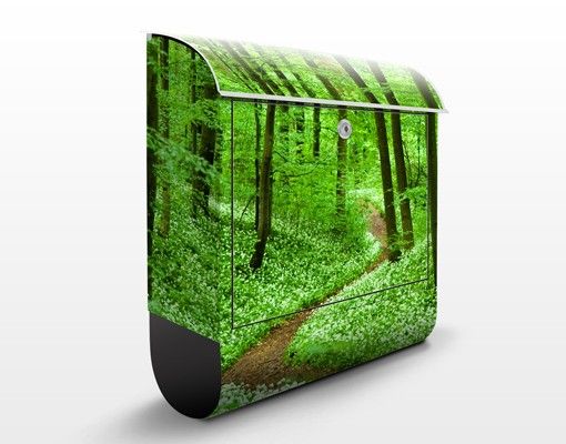 Cassette della posta con paesaggio Percorso romantico nella foresta
