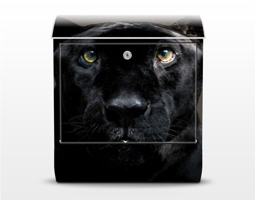 Cassette della posta nere Puma nero