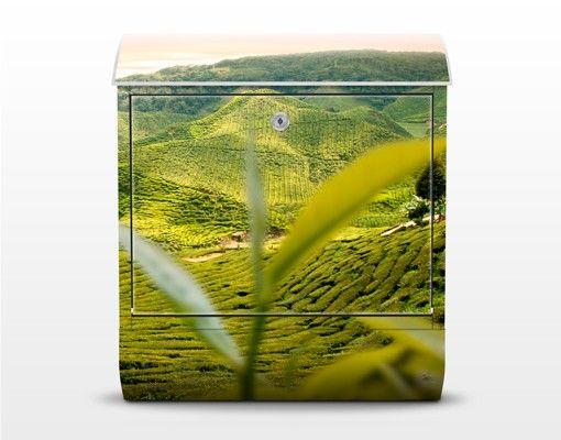 Cassette della posta verde Giardino dei tè