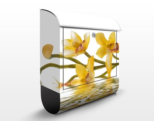 Cassette della posta con fiori Acque di orchidee color zafferano