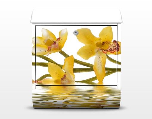 Cassette della posta gialle Acque di orchidee color zafferano