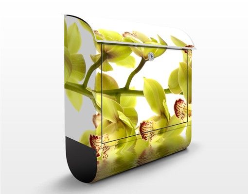Cassette della posta con fiori Splendide acque di orchidea