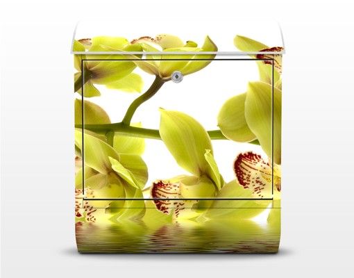 Accessori casa Splendide acque di orchidea