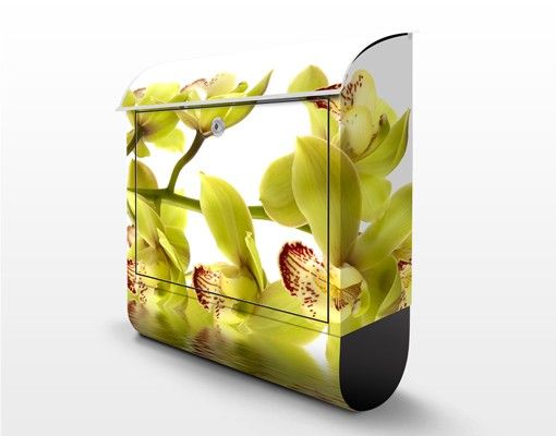 Cassetta postale Splendide acque di orchidea