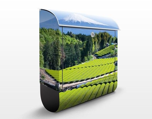 Cassette della posta con paesaggio Campi di tè davanti al Fuji