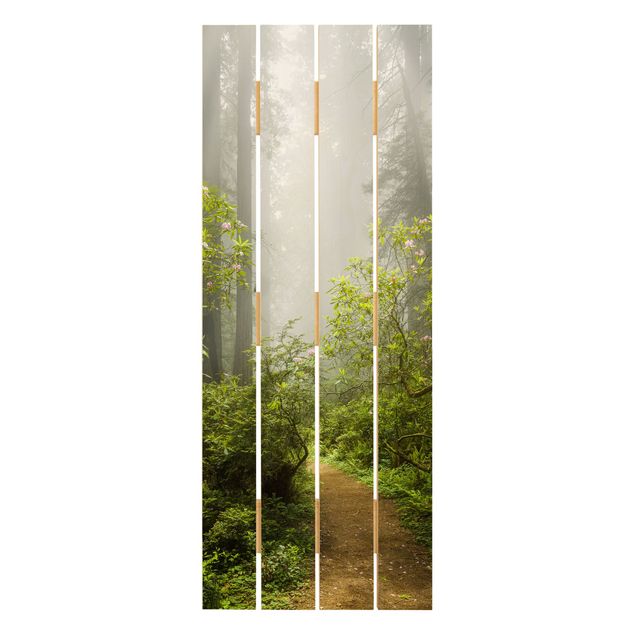 Quadri su legno Sentiero della foresta nebbiosa