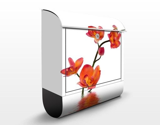 Cassette della posta con fiori Acque di orchidea infuocate