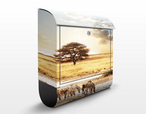 Cassette della posta con paesaggio La vita delle zebre