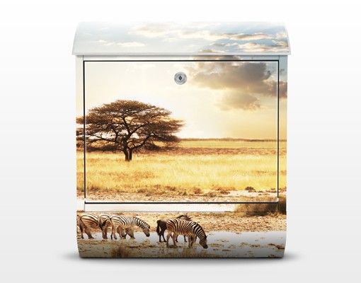 Cassette della posta con animali La vita delle zebre