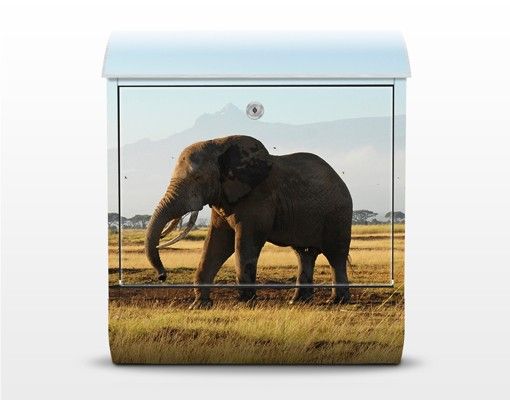 Cassette della posta con animali Elefanti di fronte al Kilimangiaro in Kenya