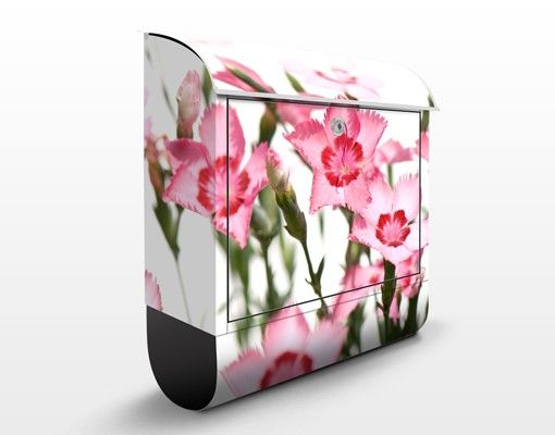 Cassette della posta con fiori Fiori rosa