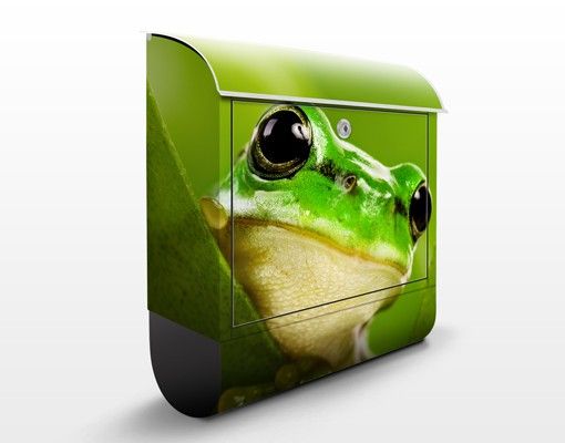 Cassette postali animali Tree Frog