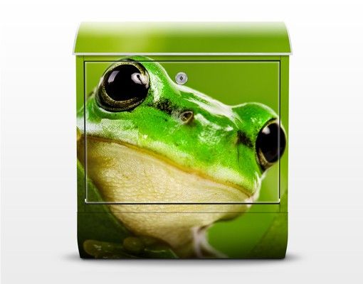 Cassetta postale verde Tree Frog