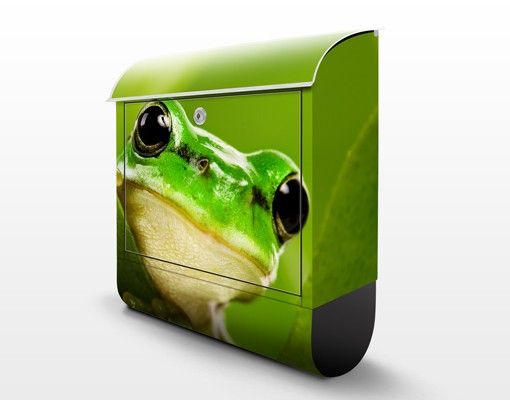 Accessori casa Tree Frog