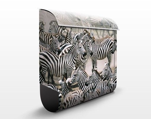 Cassette della posta in bianco e nero Branco di zebre