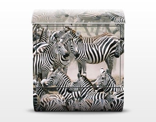 Cassette della posta con paesaggio Branco di zebre