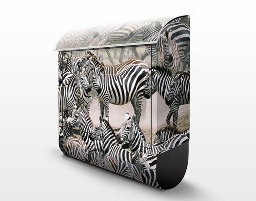 Cassette della posta con animali Branco di zebre