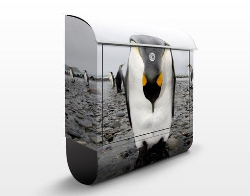 Cassette della posta effetto pietra Pinguin
