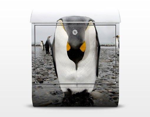 Cassette della posta con animali Pinguin