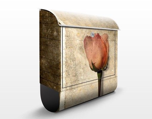 Cassette della posta con fiori Rosa interiore