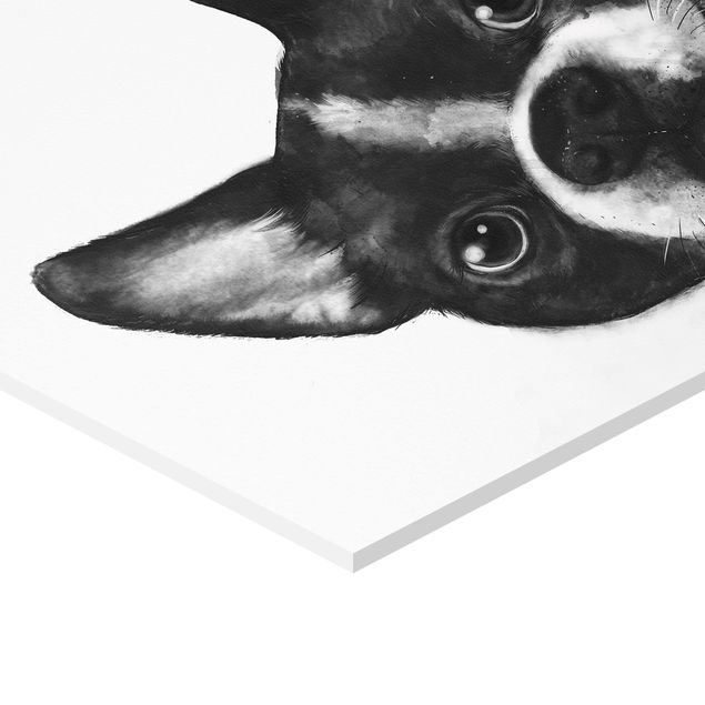 Esagono in forex - Illustrazione Dog Boston Monochrome Pittura