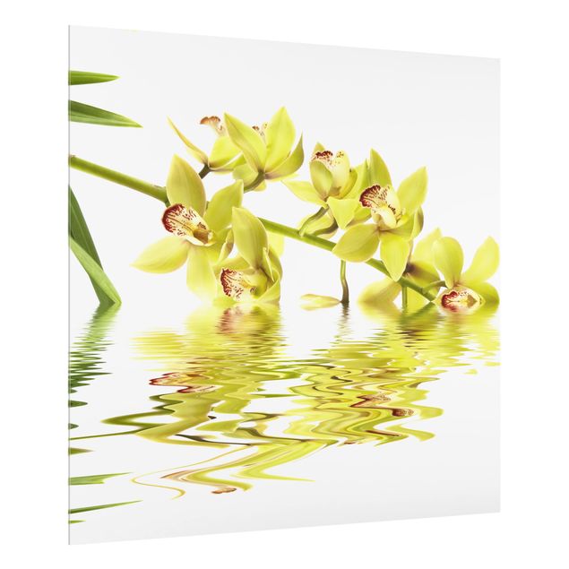 Paraspruzzi cucina Eleganti acque di orchidea