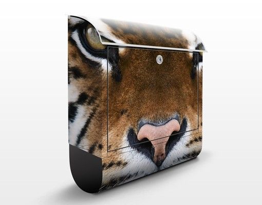 Cassette della posta con animali Occhi di tigre