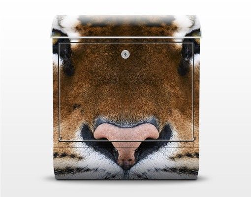 Cassette della posta marroni Occhi di tigre