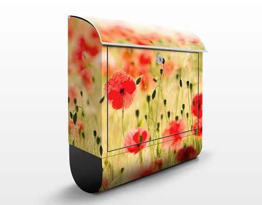 Cassette della posta con fiori Papaveri d'estate