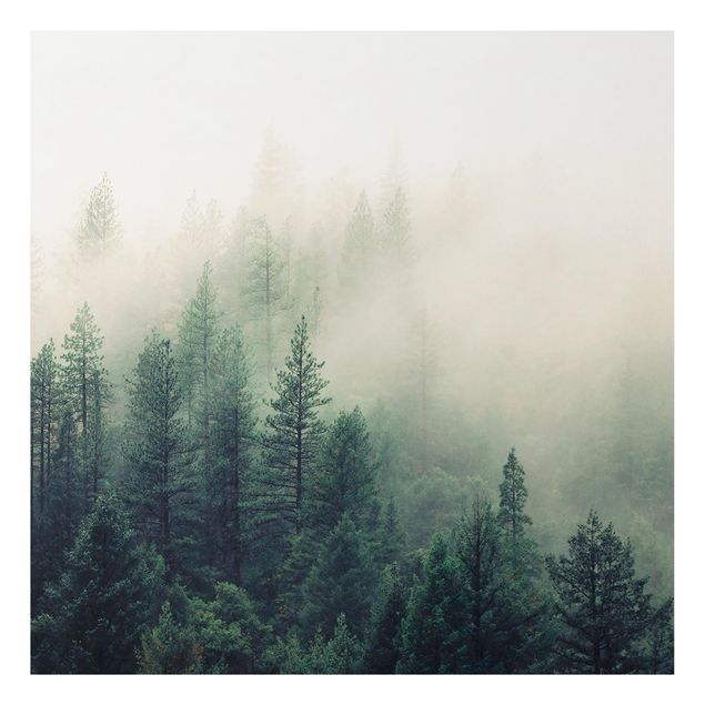 Quadro alberi Risveglio della foresta nebbiosa