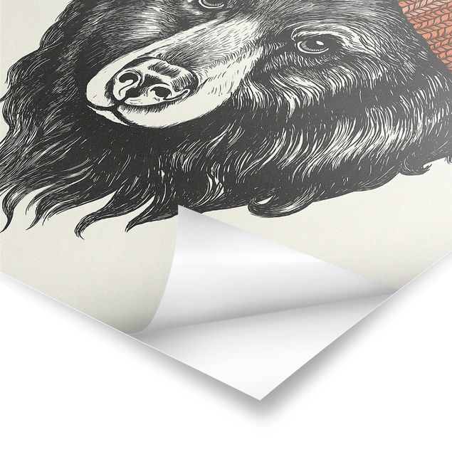 Stampe Illustrazione - Orso con cappuccio rosso disegno