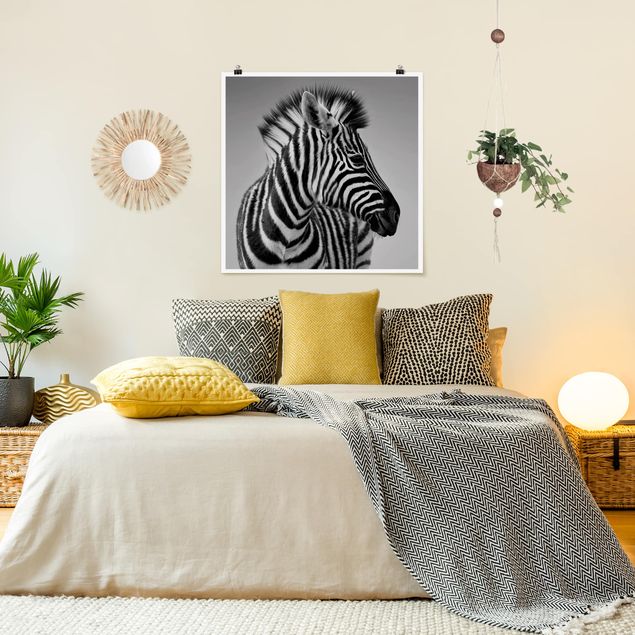 Quadro Africa Ritratto di piccola zebra II