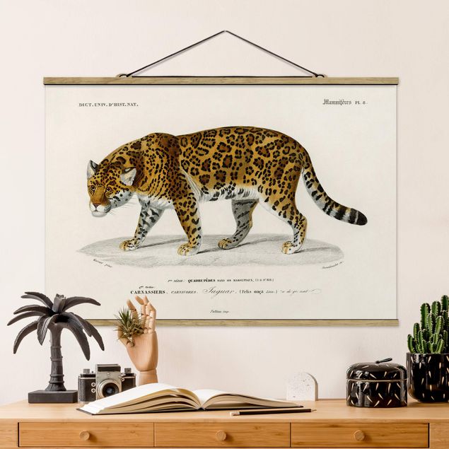 Quadri gatto Bacheca Vintage Giaguaro