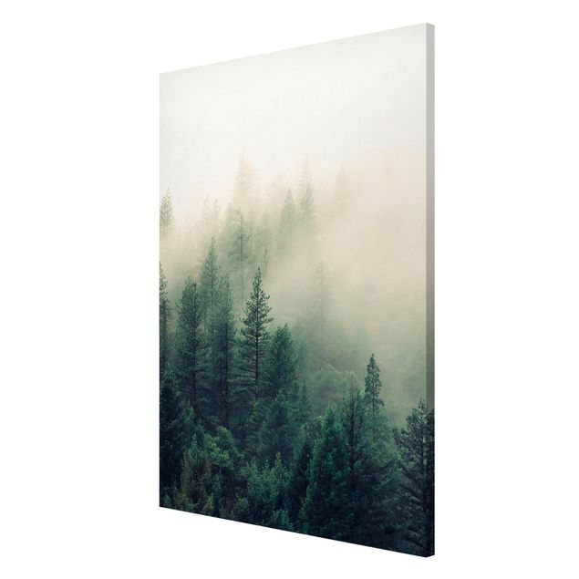 Lavagne magnetiche con paesaggio Risveglio della foresta nebbiosa
