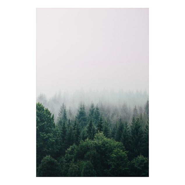 Quadri con alberi Foresta nebbiosa crepuscolo