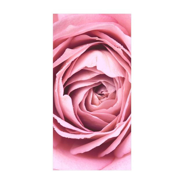 Tappeti con motivi naturali Fiore di rosa rosa