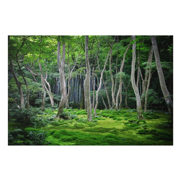Paraschizzi in vetro - Japanese Forest