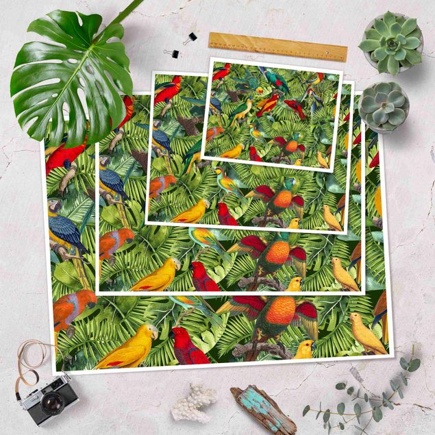 Poster Collage colorato - Pappagalli nella giungla