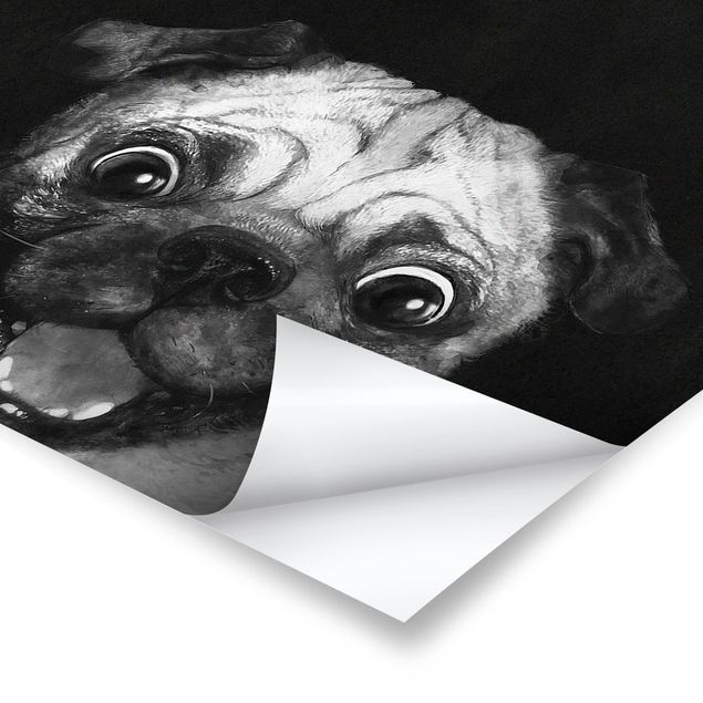 Quadri Laura Graves Art Illustrazione - cane carlino pittura su bianco e nero
