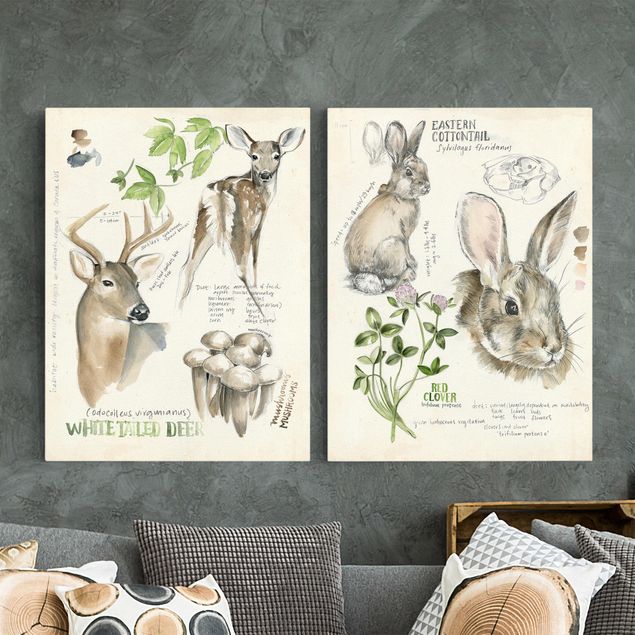 Quadro cervo Diario della natura selvaggia - Cervi e conigli Set II