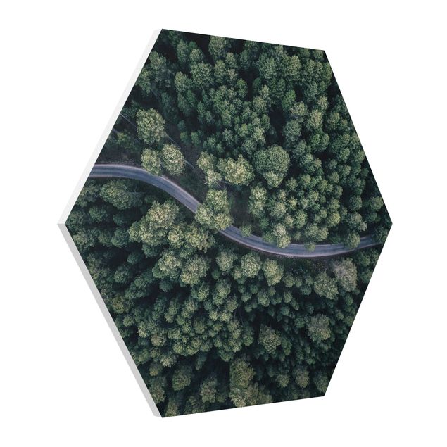 Quadri natura Vista aerea - Strada forestale dall'alto