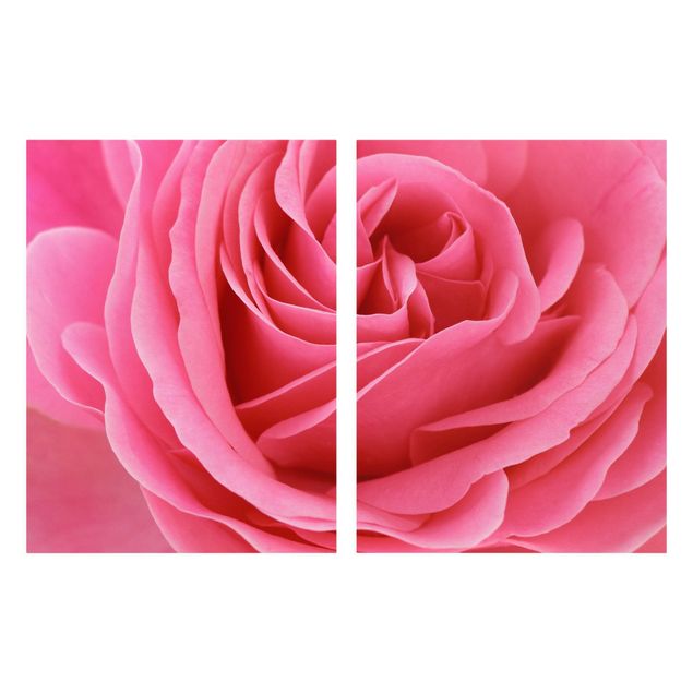 Quadri di fiori Rosa lussuriosa