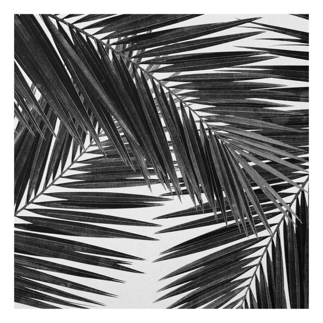 Decorazioni per cucina Vista sulle foglie di palma in bianco e nero
