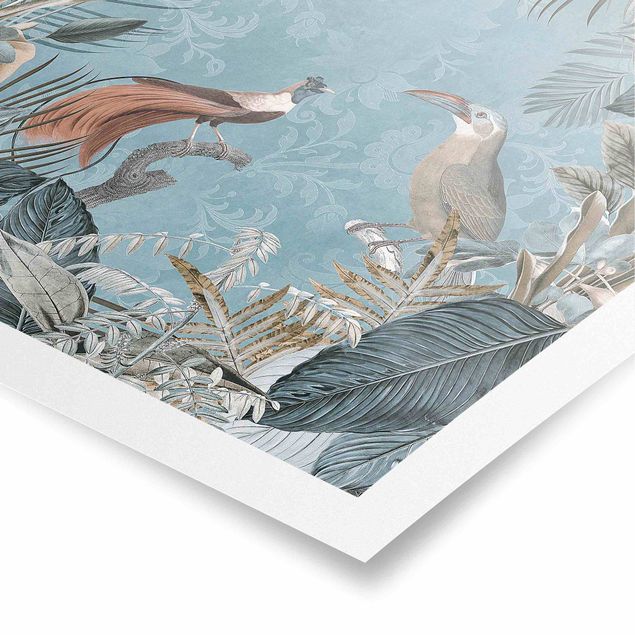 Quadri stampe Collage vintage - Uccelli del paradiso