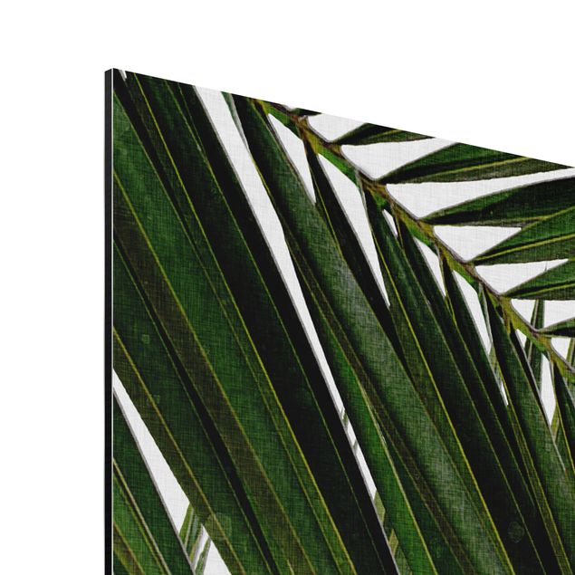 Quadri verdi Vista attraverso le foglie di palma verde