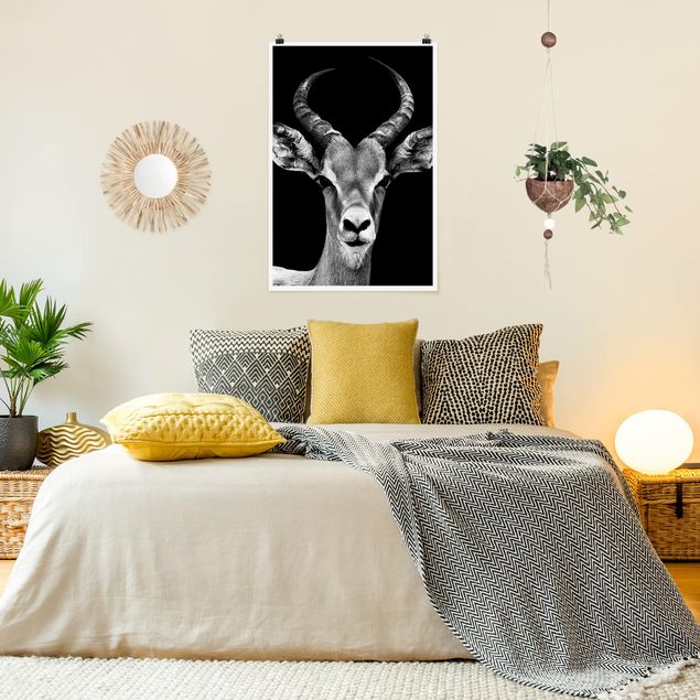 Quadri in bianco e nero Antilope Impala in bianco e nero
