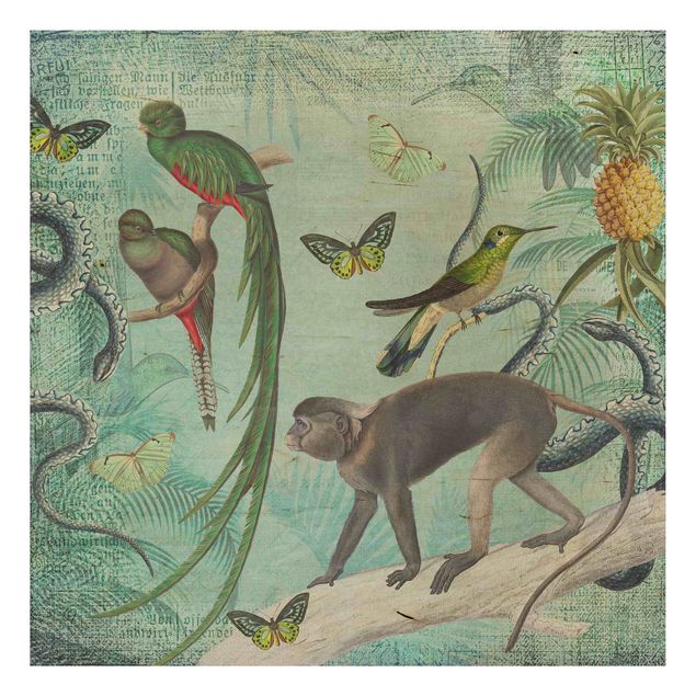 Quadri Andrea Haase Collage in stile coloniale - Scimmie e uccelli del paradiso