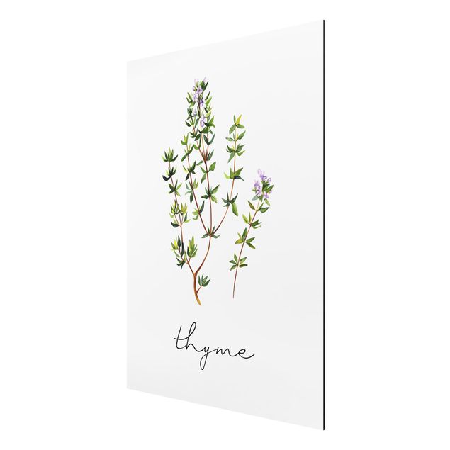 Quadri floreali moderni Illustrazione di erbe aromatiche Timo