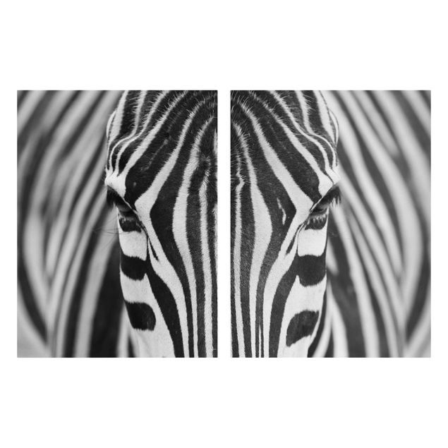 Tela zebra Sguardo da zebra