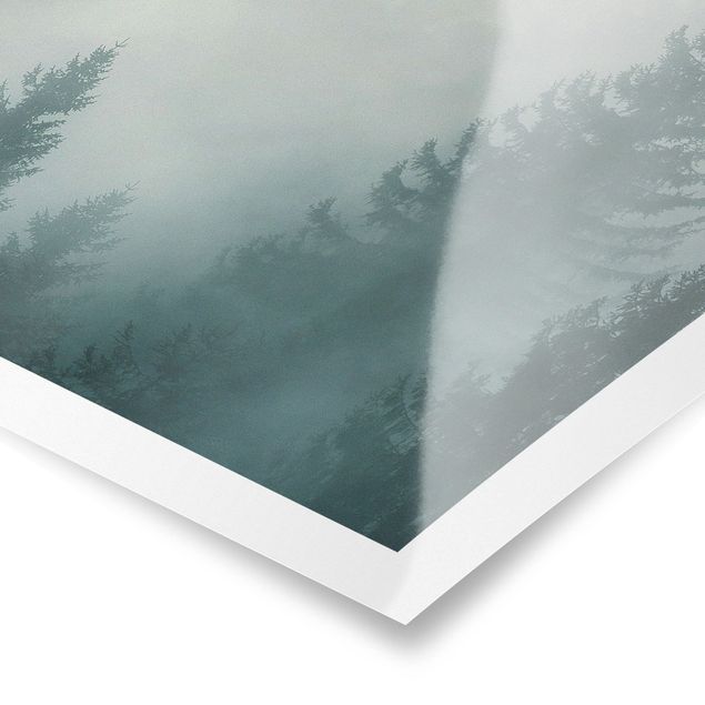 Poster paesaggi naturali Foresta di conifere nella nebbia